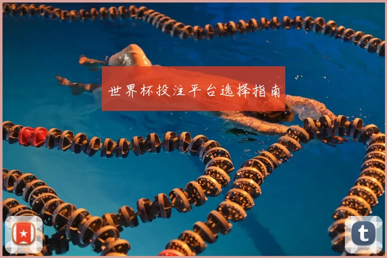 世界杯投注平台选择指南