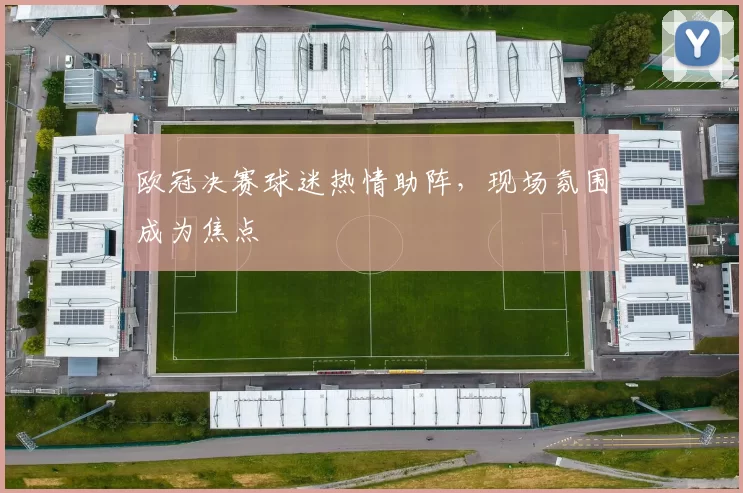 欧冠决赛球迷热情助阵,现场氛围成为焦点