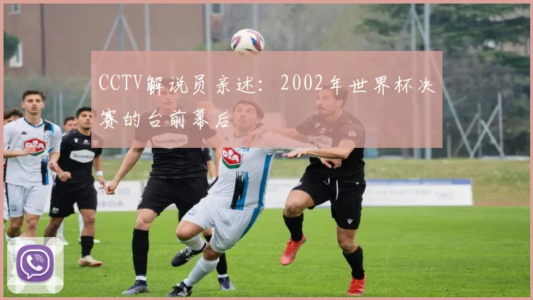 CCTV解说员亲述：2002年世界杯决赛的台前幕后