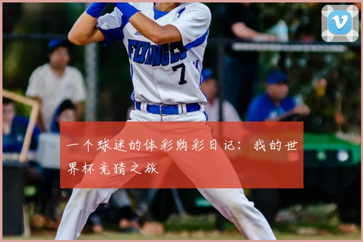 一个球迷的体彩购彩日记:我的世界杯竞猜之旅