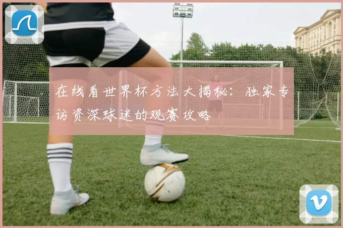 在线看世界杯方法大揭秘:独家专访资深球迷的观赛攻略
