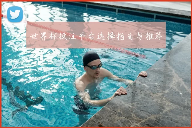 世界杯投注平台选择指南与推荐