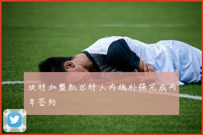 坎特加盟凯尔特人内线补强完成两年签约