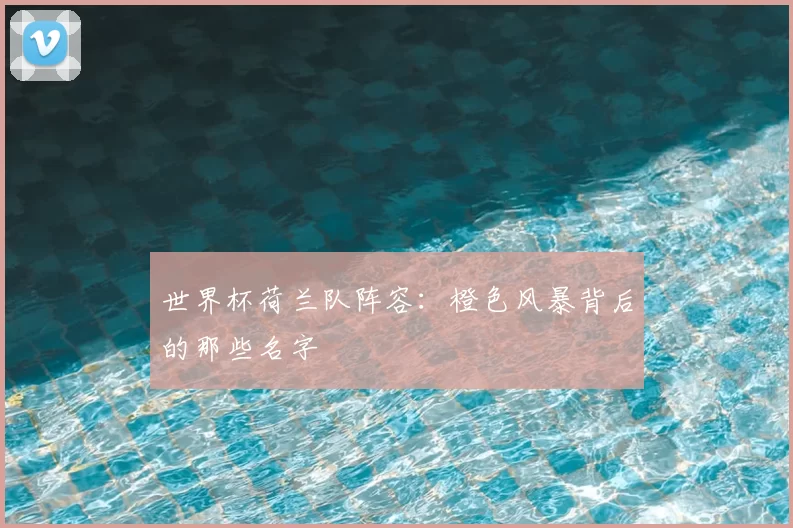 世界杯荷兰队阵容：橙色风暴背后的那些名字